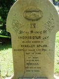 image of grave number 205768
